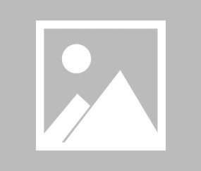 开云电竞 -勒沃库森迎德甲关键赛；集结日调整名单；更衣室稳定；赛季目标并未改变的简单介绍